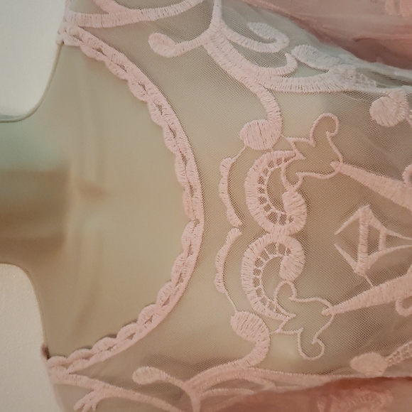 Sheer blouse by Express in a size L.  Pretty pink. Like new condition. - Picture 2 of 4